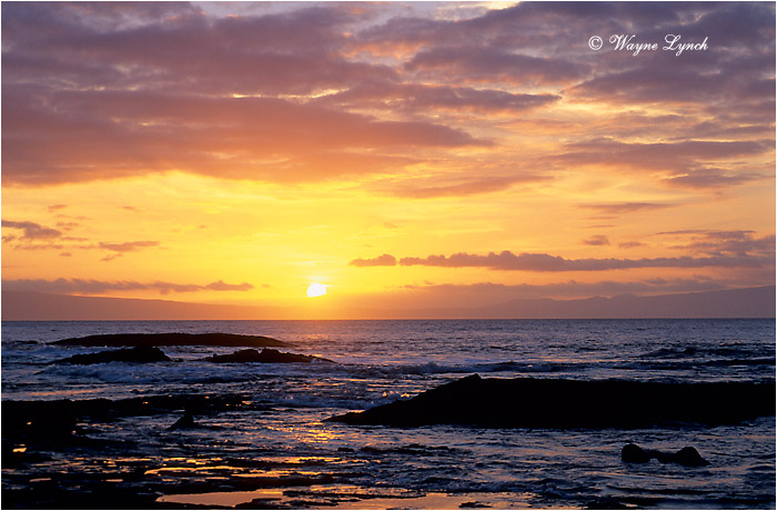 Galapagos Islands 101 by Dr. Wayne Lynch &copy;