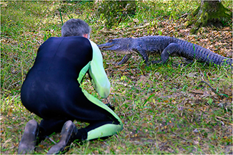 Alligator Book Project Florida 2012