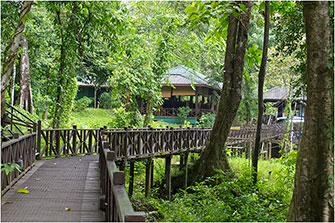 Tabin Wildlife Reserve, Borneo, 2014 by Dr. Wayne Lynch ©