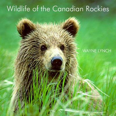 Wildlife of the Canadian Rockies Book by Dr. Wayne Lynch 