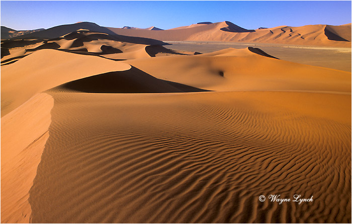 Soussusvlei Namibia 101 by Wayne Lynch &copy;