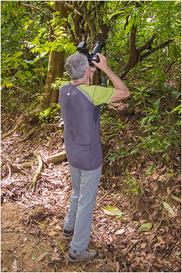 Jungle Photography Costa Rica 2018 by Dr. Wayne Lynch ©