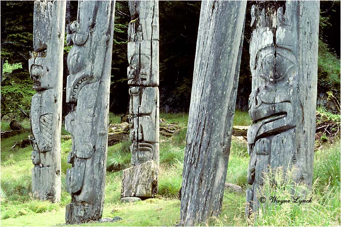 Totem Poles  by D.r Wayne Lynch &copy;